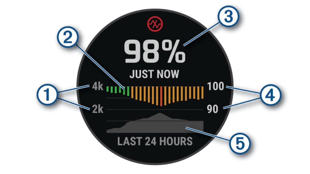 Garmin Pulse Ox