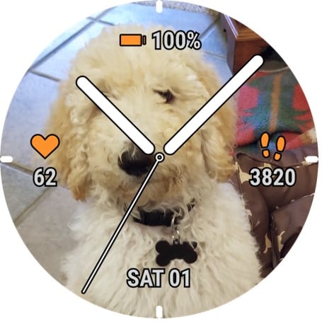 Rund analog urtavla med foto av en ljusfärgad hund i bakgrunden. Skärmen visar batteri 100 procent, puls 62, steg 3820 och datum lördag 01.